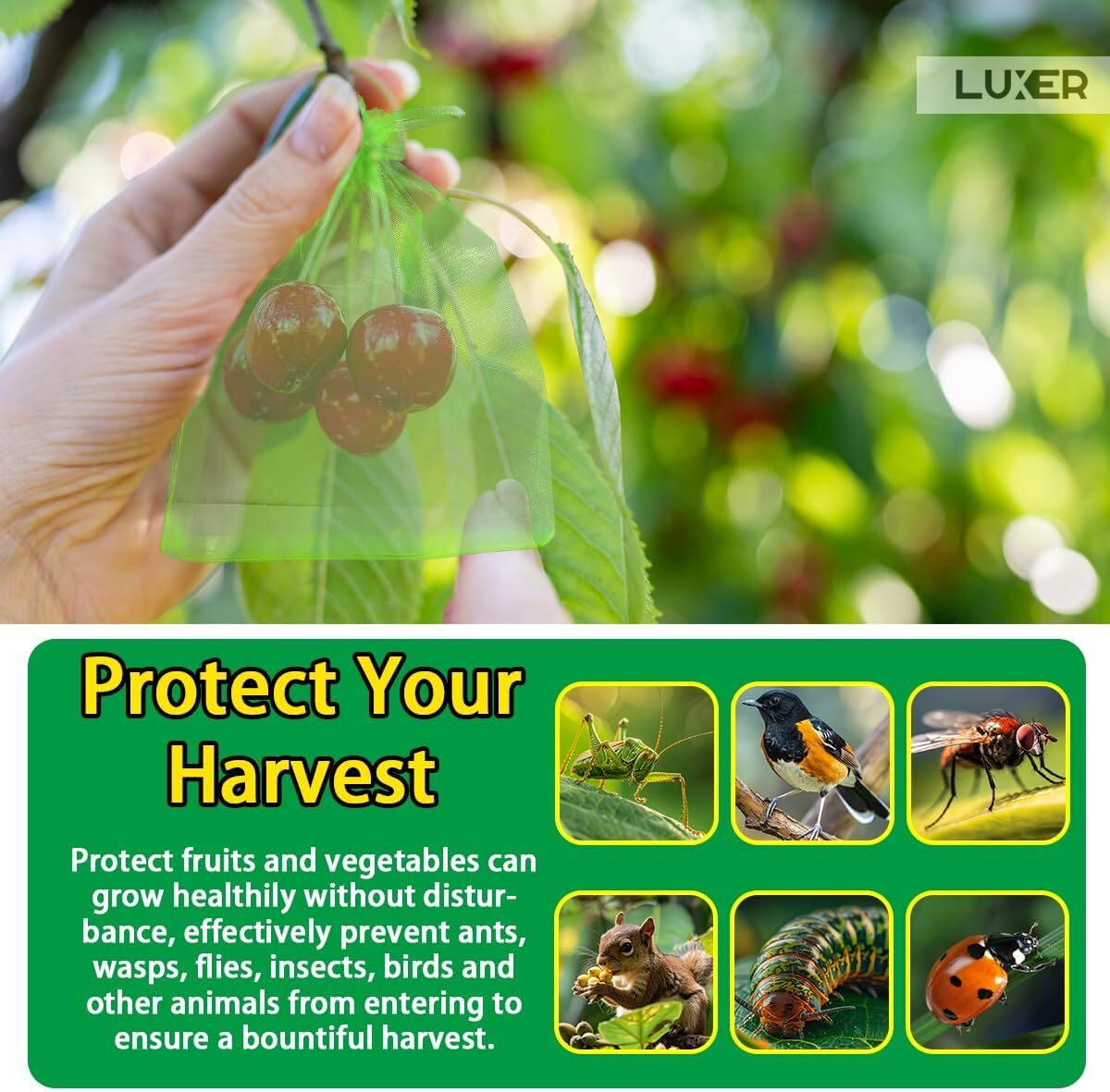 Set 20 pungi protectie fructe si legume Luxer 7x9 cm verde [5]