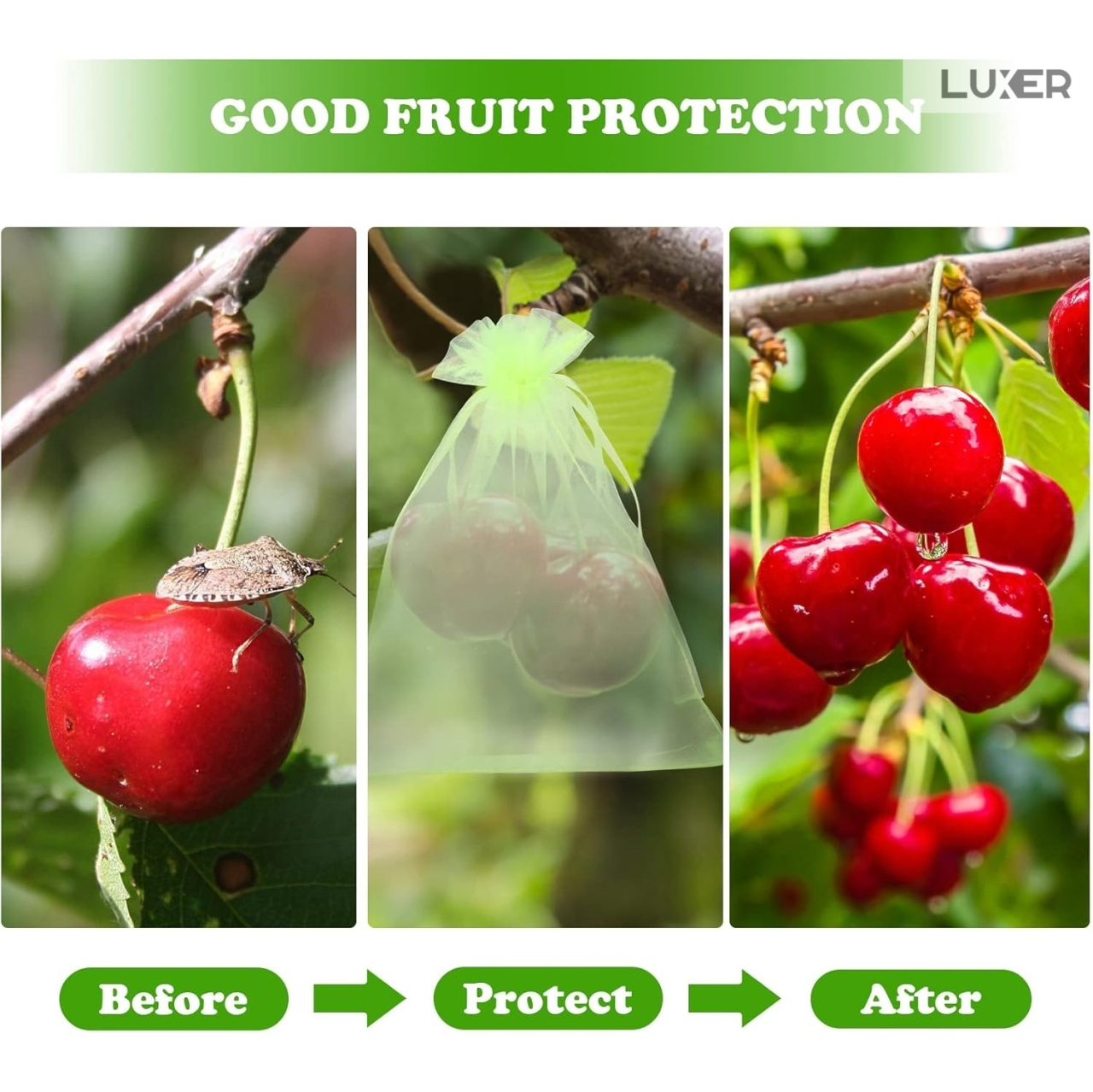 Set 20 pungi protectie fructe si legume Luxer 7x9 cm verde [4]