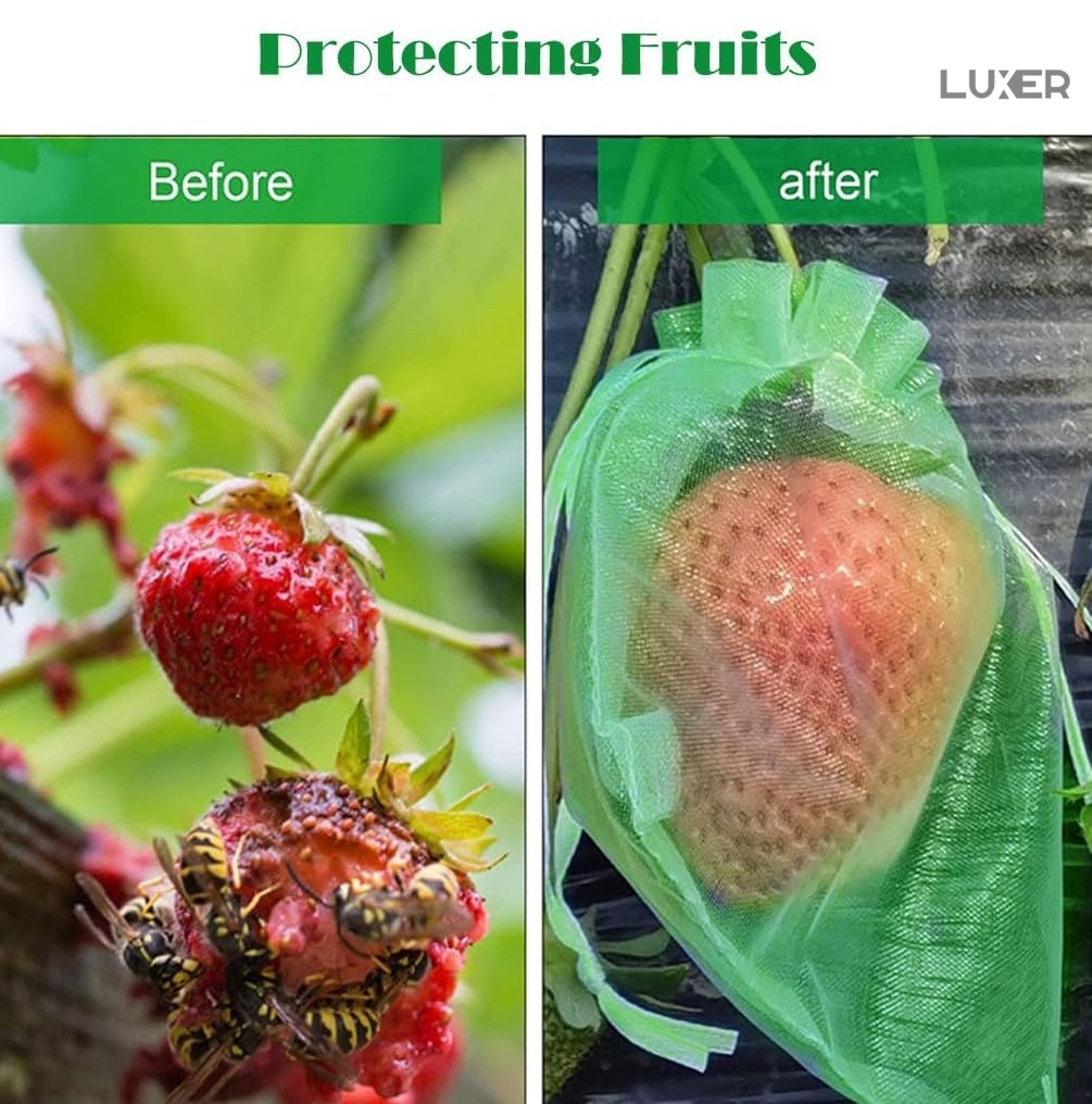 Set 20 pungi protectie fructe si legume Luxer 7x9 cm verde [3]