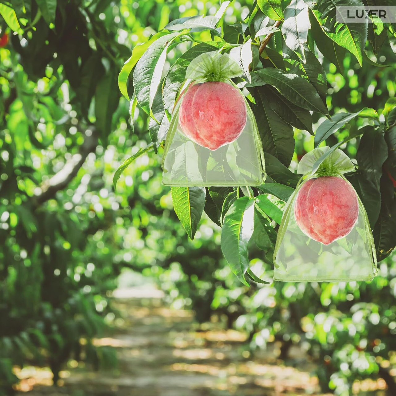 Set 20 pungi protectie fructe si legume Luxer 10x15 cm verde [5]