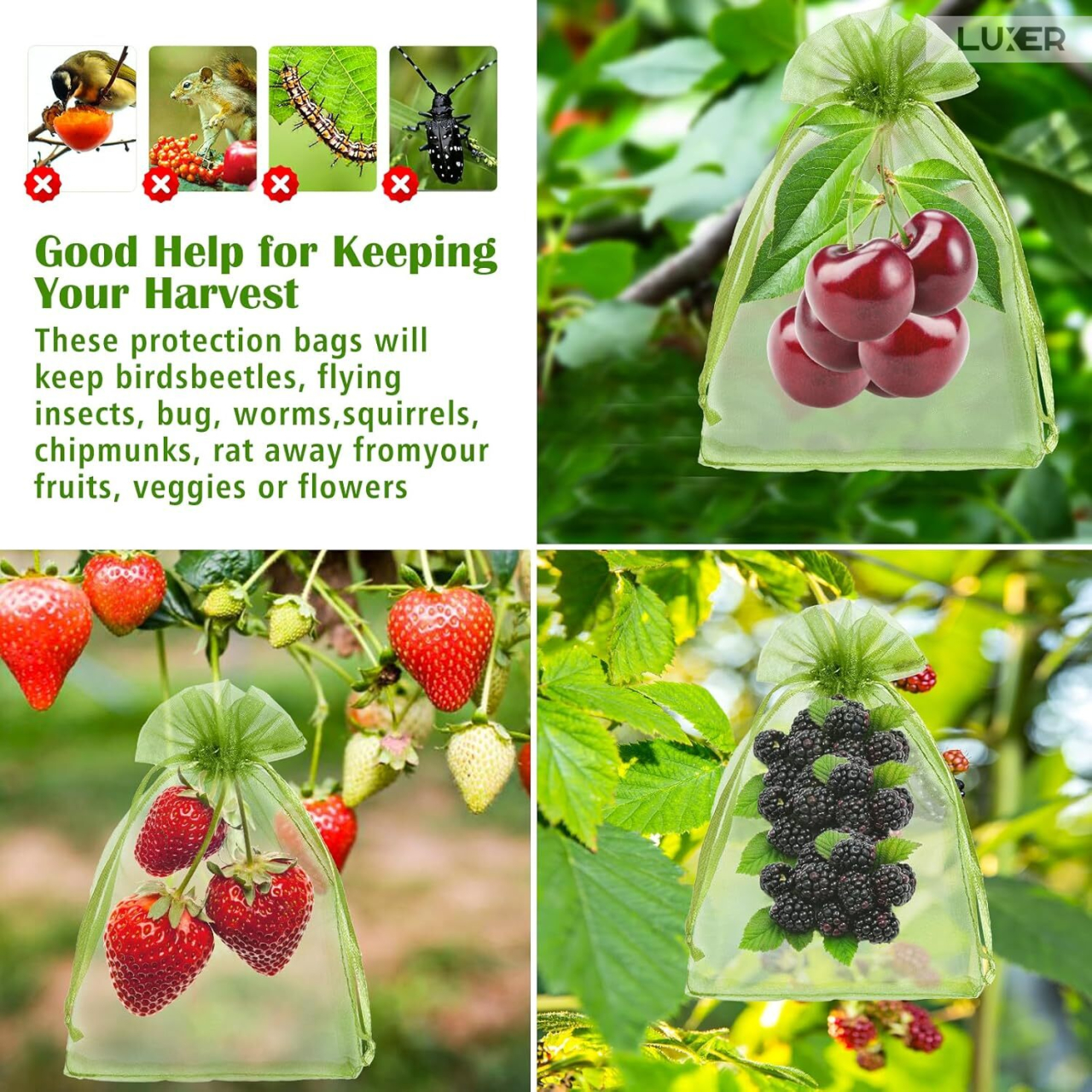 Set 20 pungi protectie fructe si legume Luxer 10x15 cm verde [7]