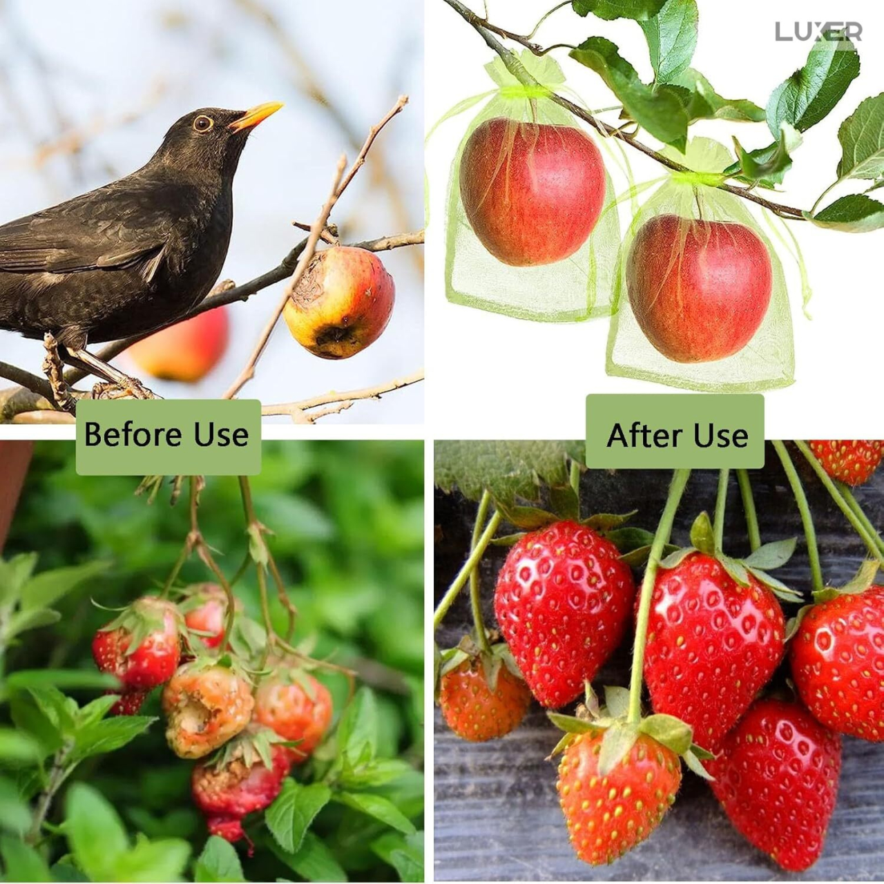 Set 20 pungi protectie fructe si legume Luxer 10x15 cm verde [6]