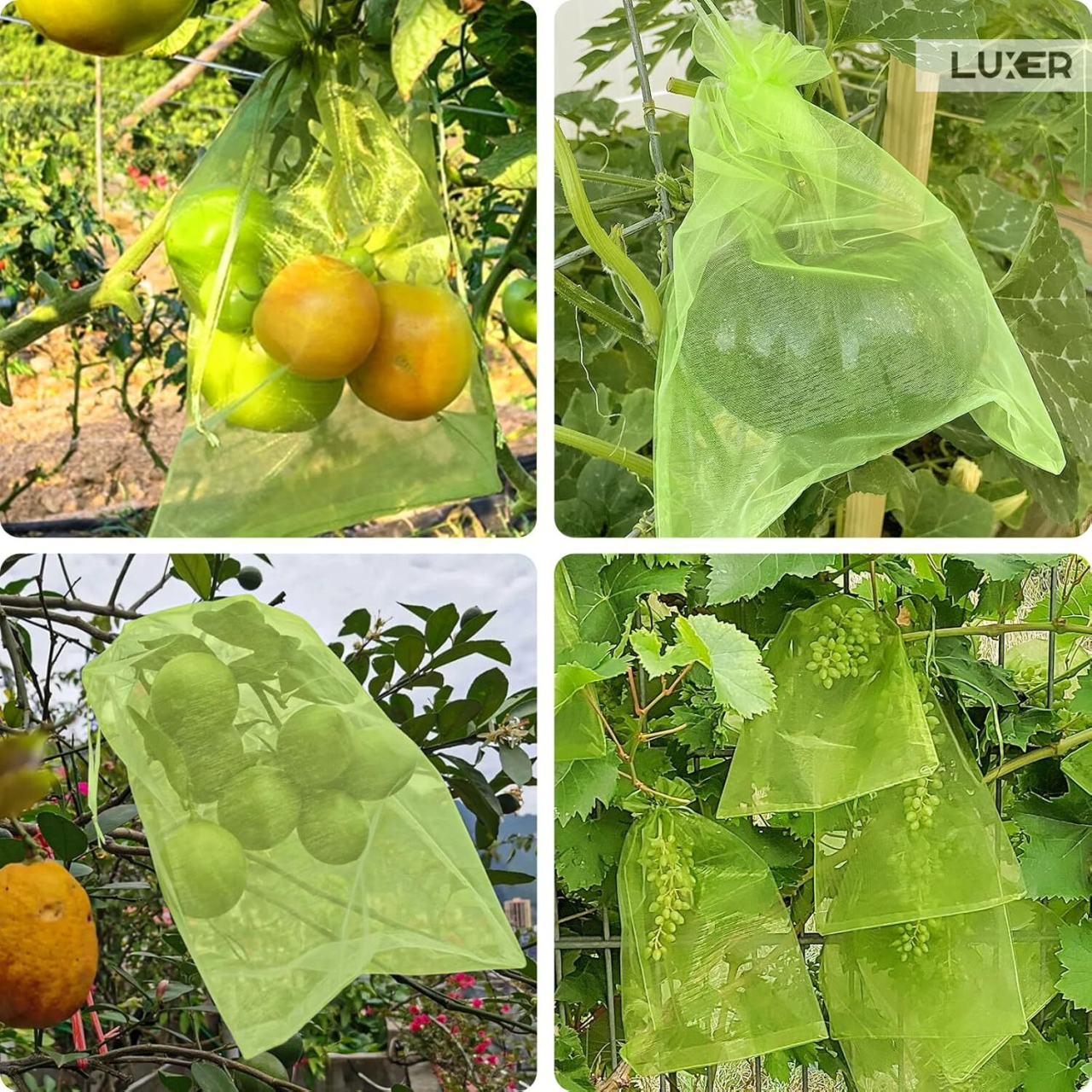 Set 20 pungi de protecție pentru fructe și legume Luxer, cu snur reglabil, anti-insecte, păsări și rozătoare, dimensiuni 25x35 cm, verde, reutilizabile și respirabile. [5]