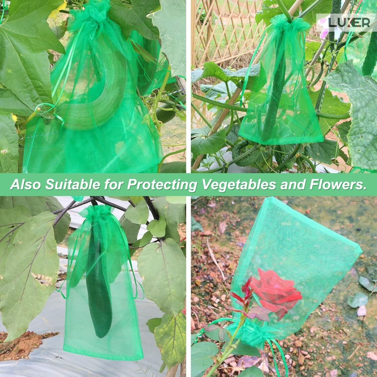 Set 20 pungi de protecție pentru fructe și legume Luxer, cu snur reglabil, anti-insecte, păsări și rozătoare, dimensiuni 25x35 cm, verde, reutilizabile și respirabile. [6]
