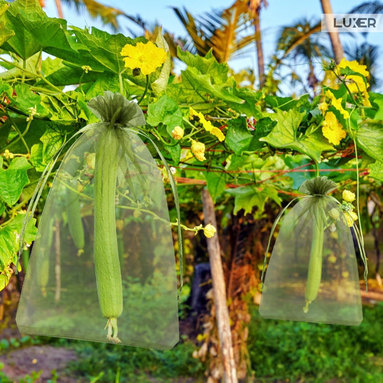 Set 20 pungi de protecție pentru fructe și legume Luxer, cu snur reglabil, anti-insecte, păsări și rozătoare, dimensiuni 25x35 cm, verde, reutilizabile și respirabile. [3]