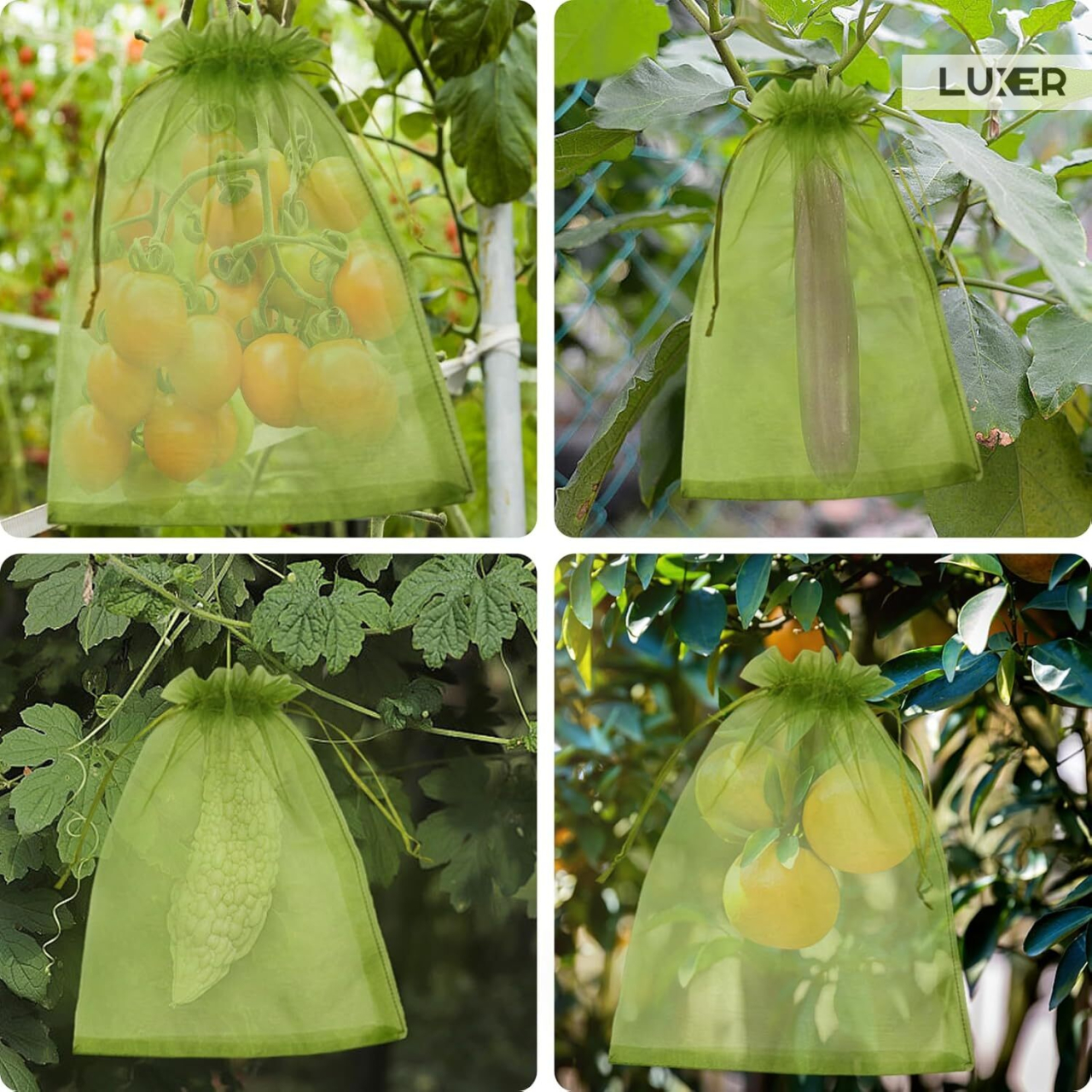 Set 20 pungi de protecție pentru fructe și legume Luxer, cu snur reglabil, anti-insecte, păsări și rozătoare, dimensiuni 30x40 cm, verde, reutilizabile și respirabile. [3]