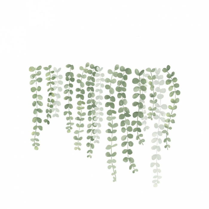 Sticker Decorativ cu Frunze de Eucalipt Luxer, Autocolant perete pentru copii Eucalyptus Leaves, 55x45 cm, stickere perete dedeman flori personalizat pepco emag personalizate ieftine natura plante exotice merlin mickey mouse autocolante pentru sufragerie living luxer [3]