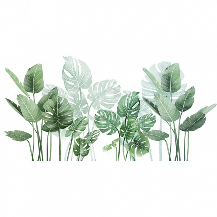 Sticker Decorativ cu Frunze de Philodendron Luxer, Autocolant perete Philodendron cu frunza rupta, 105x52 cm, stickere perete dedeman flori personalizat pepco emag personalizate ieftine natura plante exotice merlin mickey mouse autocolante pentru sufragerie living luxer [11]