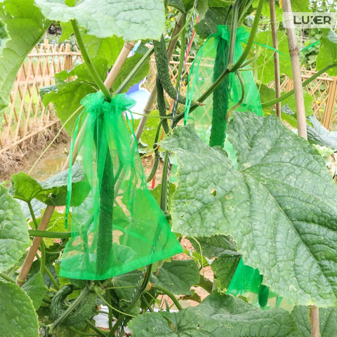 Set 20 pungi de protecție pentru fructe și legume Luxer, cu snur reglabil, anti-insecte, păsări și rozătoare, dimensiuni 25x35 cm, verde, reutilizabile și respirabile. [3]