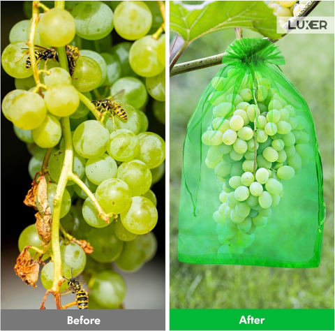 Set 20 pungi de protecție pentru fructe și legume Luxer, cu snur reglabil, anti-insecte, păsări și rozătoare, dimensiuni 30x40 cm, verde, reutilizabile și respirabile. [3]