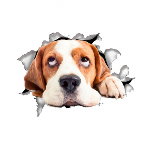 Produse Sub 30 Lei - Sticker Decorativ Autoadeziv cu efect 3D, Model: Sad Beagle, pentru Perete/Mobila/Masina, Autocolant, Sticker Auto, Dimensiuni: 21x15 cm, Luxer