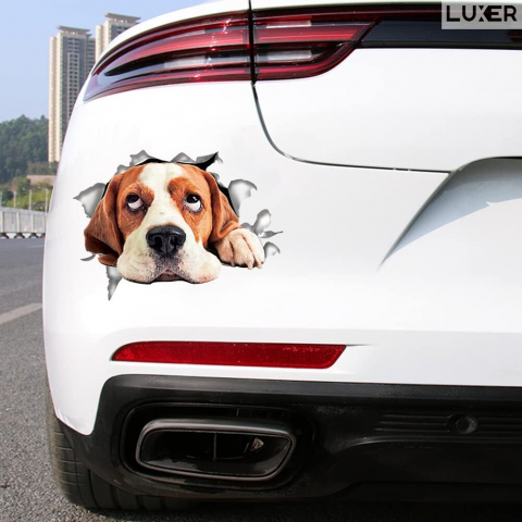Sticker Decorativ Autoadeziv cu efect 3D, Model: Sad Beagle, pentru Perete/Mobila/Masina, Autocolant, Sticker Auto, Dimensiuni: 21x15 cm, Luxer [2]