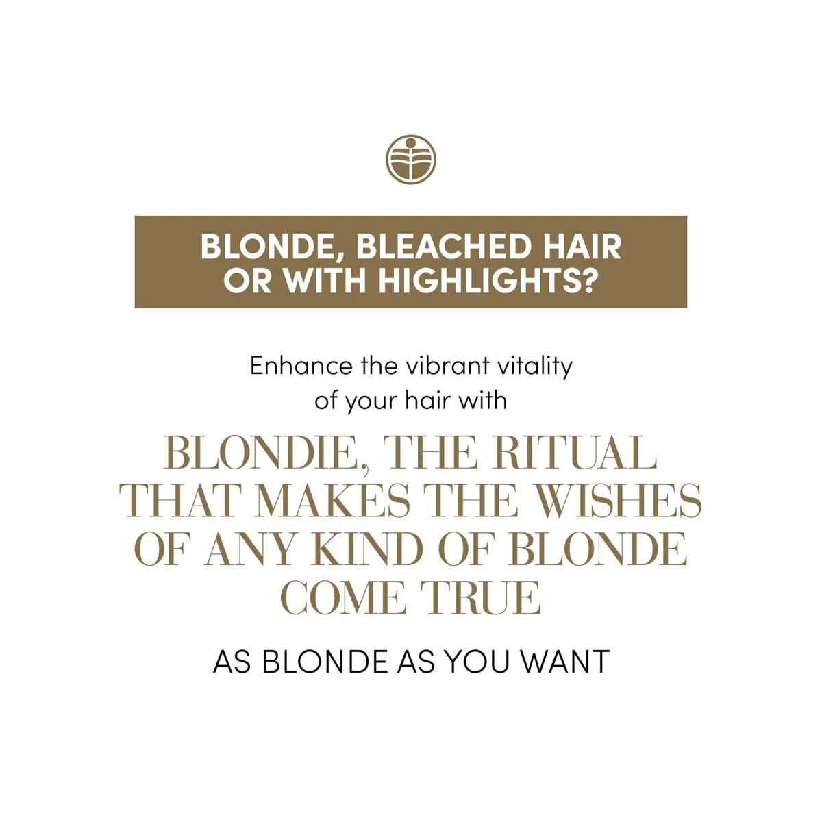 Duo Luxury Kit Ingrijire pentru Par Blond - Medavita Blondie [3]