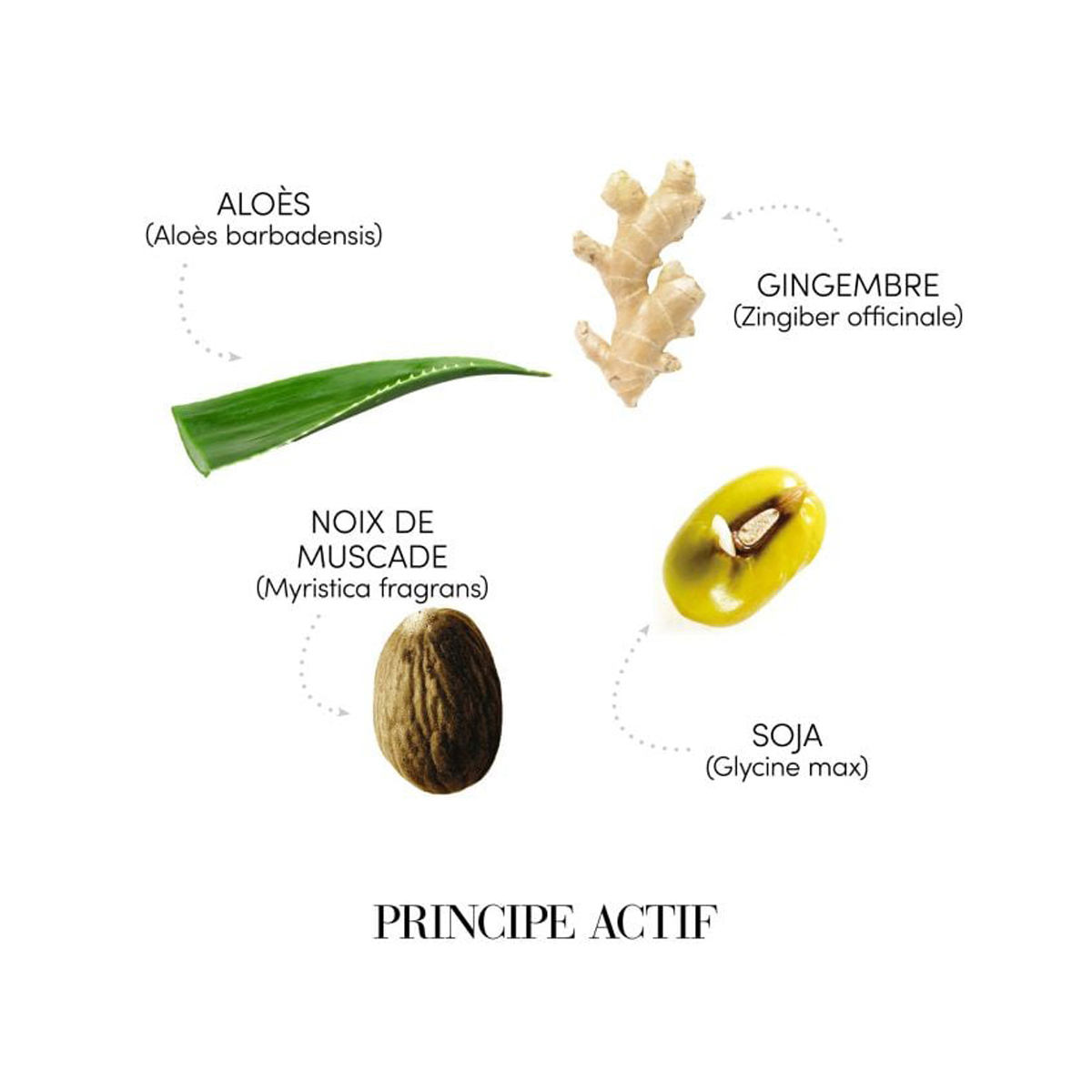Transforma-ti rutina de ingrijire a scalpului gras cu fiolele anti-sebum, solutia eficienta pentru controlul excesului de sebum si obtinerea unui scalp matifiat [2]