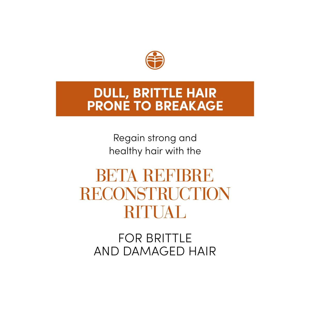 Fiole Beta-Refibre pentru reconstrucția părului 24x10ml [2]