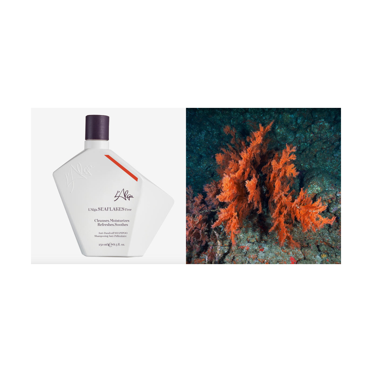 Sampon Antimatreata - Seaflakes -  250 ml [2]