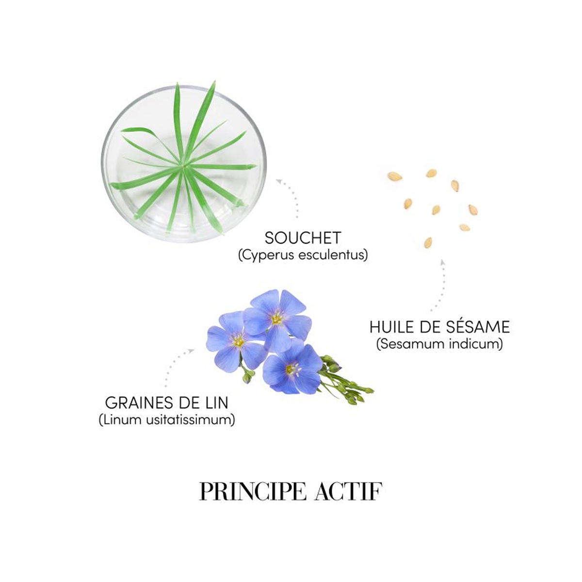 Șampon revitalizant pentru păr [3]