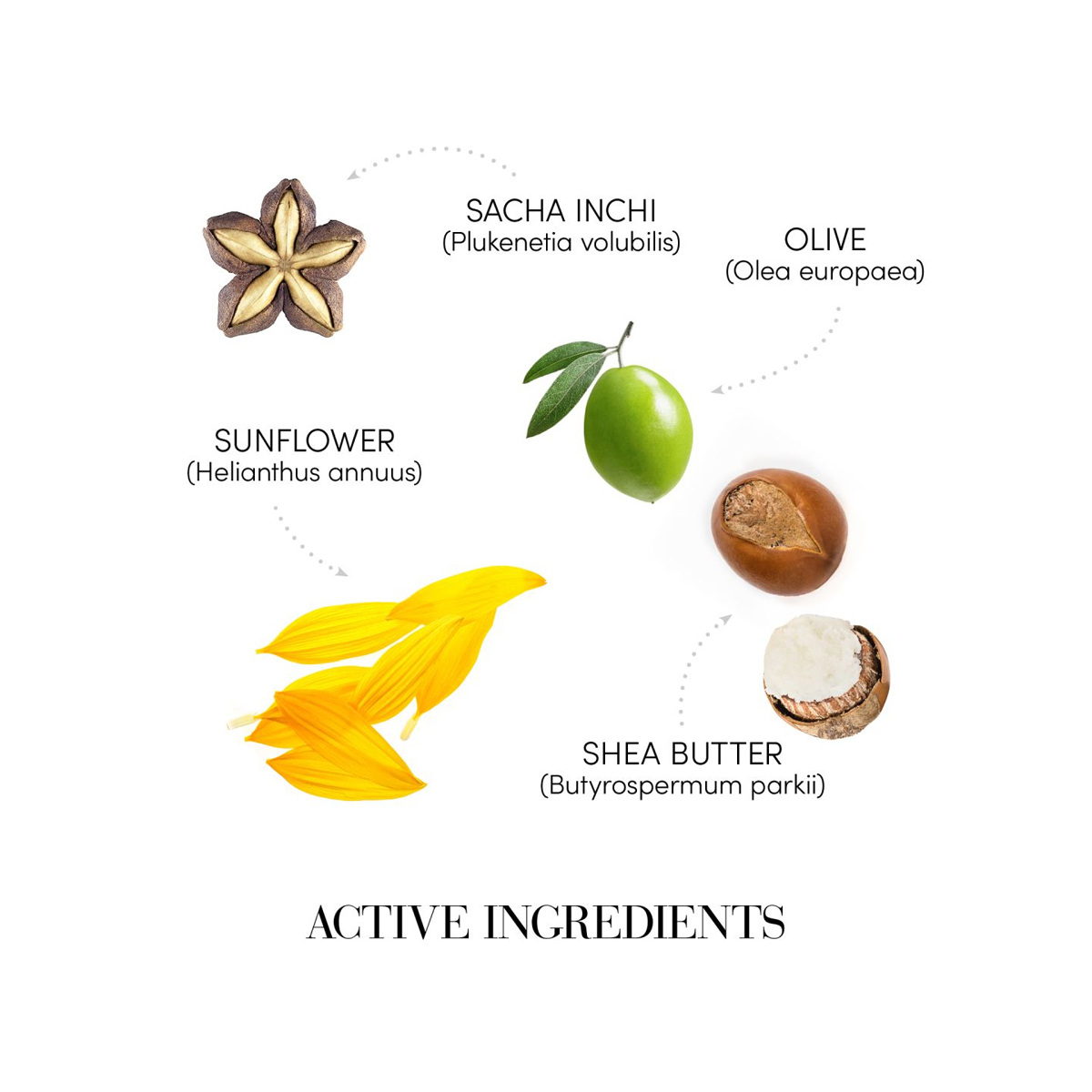 Sampon de Stralucire cu Uleiuri Naturale - 250ml - HUILE D'ETOILE [3]