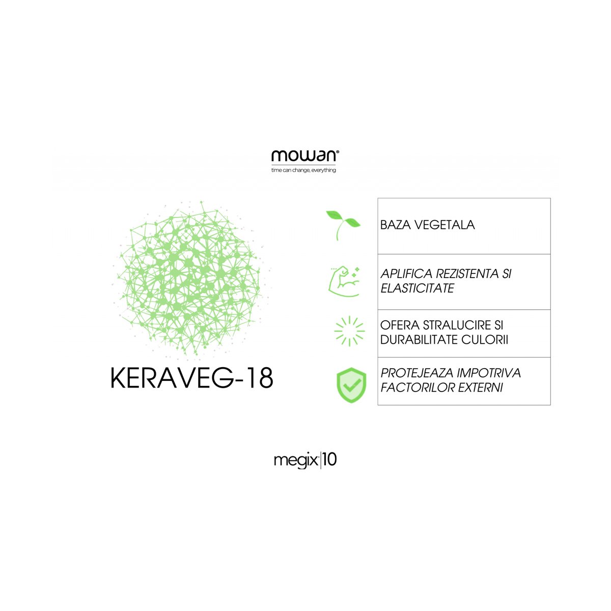 Vopsea in 10 minute profesionala [4]