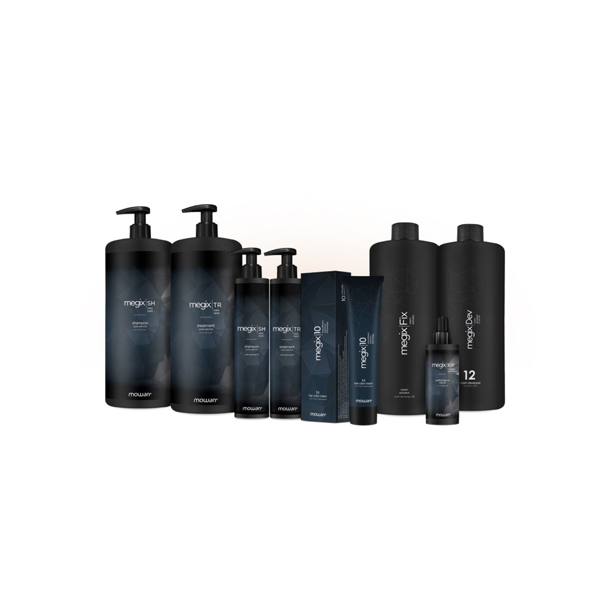 Vopsea in 10 minute profesionala [8]