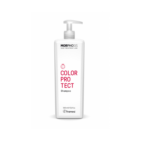 DUO Kit Color Protect - Sampon + Balsam Protectia Culorii - 1000ml - Framesi [2]