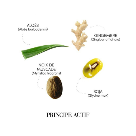 Transforma-ti rutina de ingrijire a scalpului gras cu fiolele anti-sebum, solutia eficienta pentru controlul excesului de sebum si obtinerea unui scalp matifiat [1]