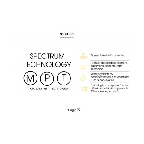 Vopsea in 10 minute profesionala [4]