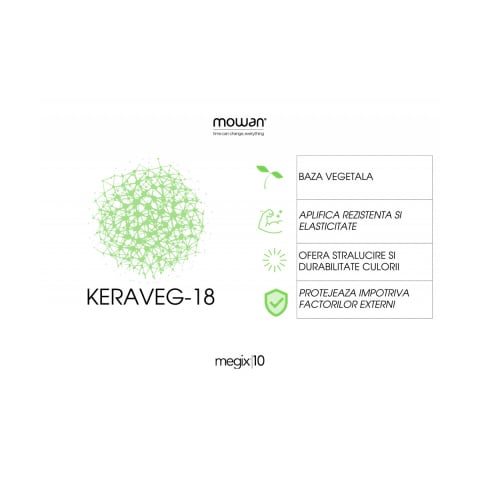 Vopsea in 10 minute profesionala [3]