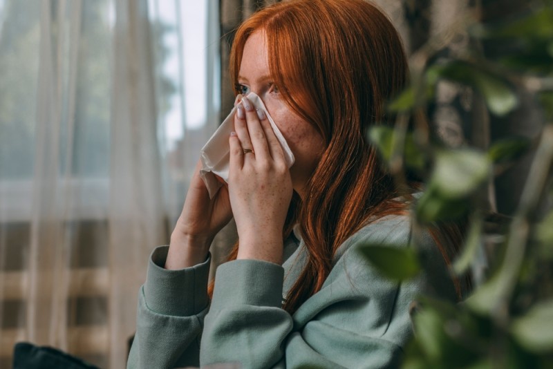 Imagine care ilustrează cum mucegaiul și igrasia pot afecta sănătatea