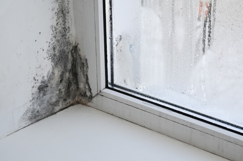 infiltratie apa in pereti