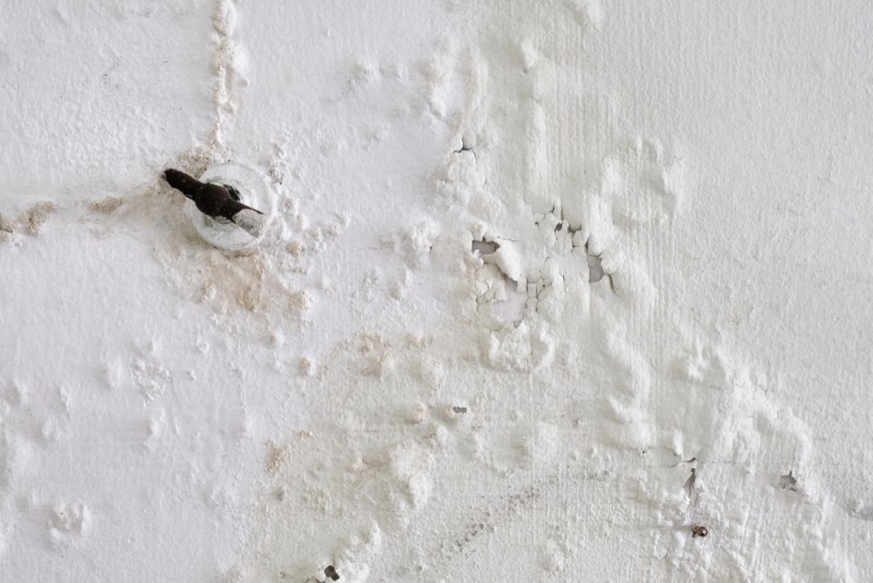 efecte ale umezelii in pereti