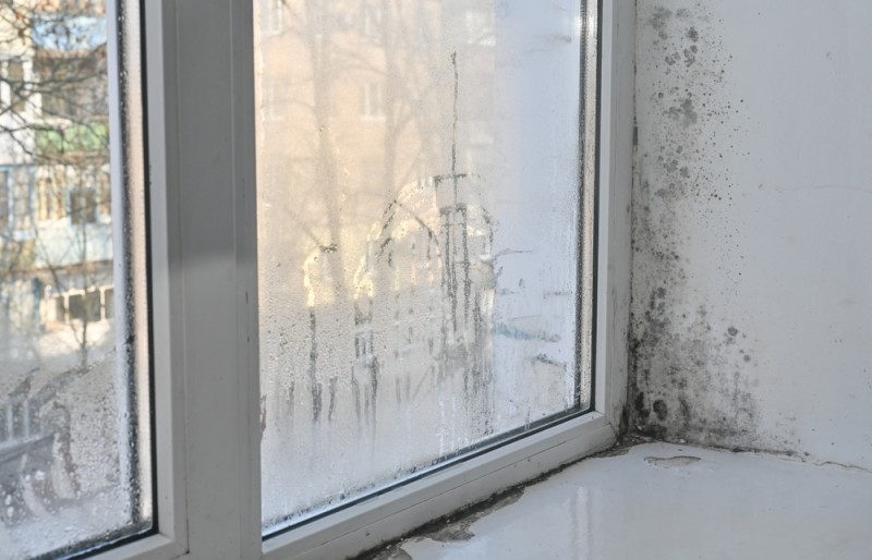 Imaginea ilustrează conceptul de igrasie