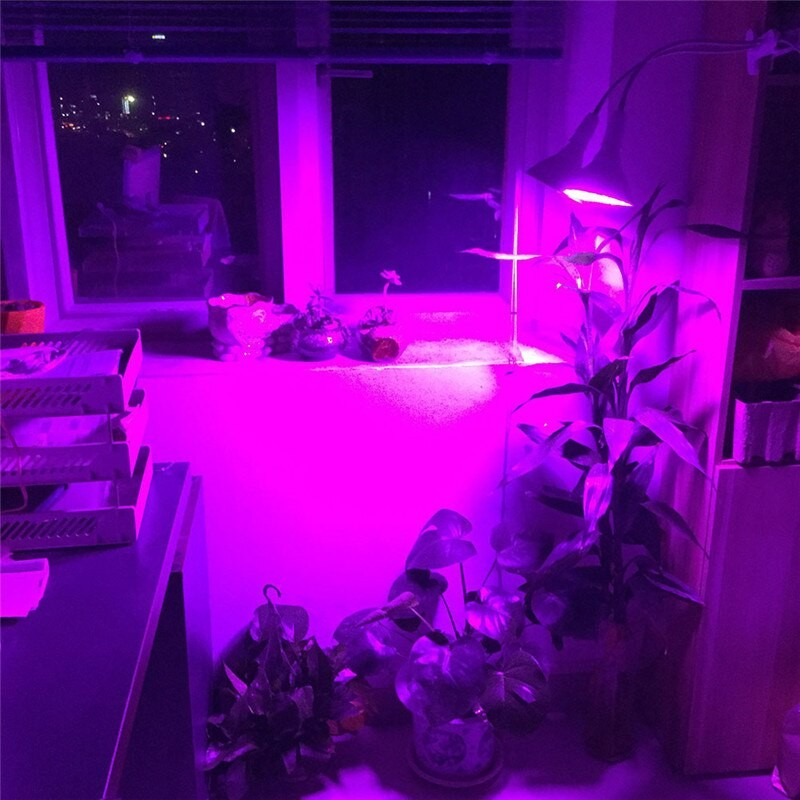 Lampa-Plante-290LED-Clips [2]