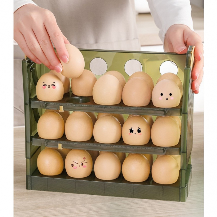 organizator-oua-30buc.jpg [3]