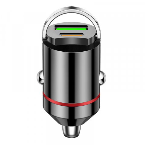 Adaptor-Auto-100W [1]
