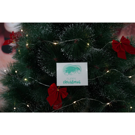 Festive - Instalatie Craciun, 2 m, Alb Cald, 20 Led-uri, Baterii