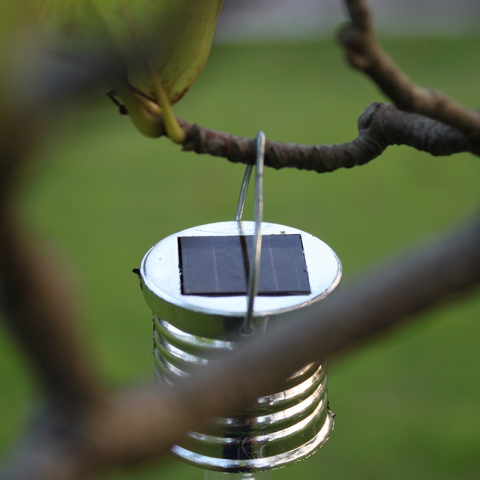 Lampa-Solara-Turture-Alb-Cald [4]