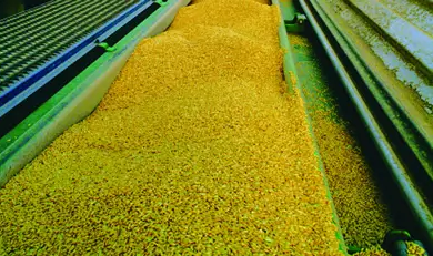 - oil resistant - Oil Resistant Conveyor Belts – Performance and Durability in Industrial Environments | Order Now