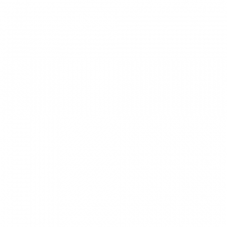 Chit de rost Murexin FM 60 Flex Alb 2kg [1]