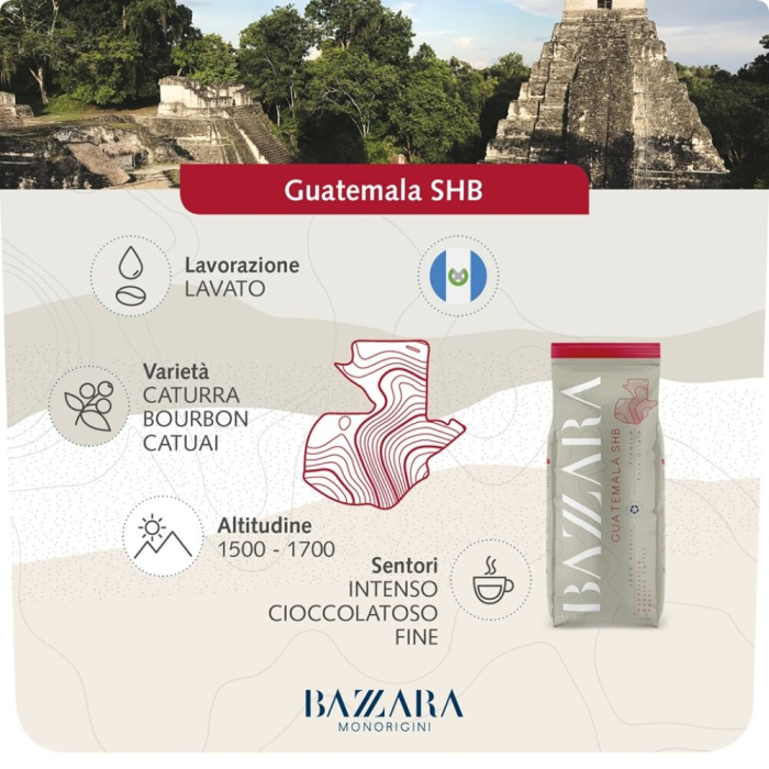 Bazzara Guatemala SHB Cafea boabe 1kg [2]
