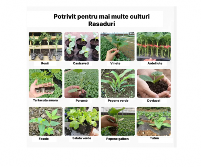Plantator Rasaduri Profesional Cu 2 Manere Ergonomice [6]