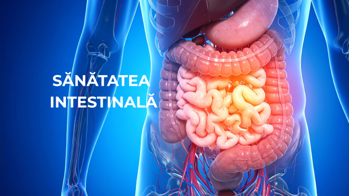 Sănătatea intestinală: de ce începe starea de bine în intestin și cum o poți susține natural
