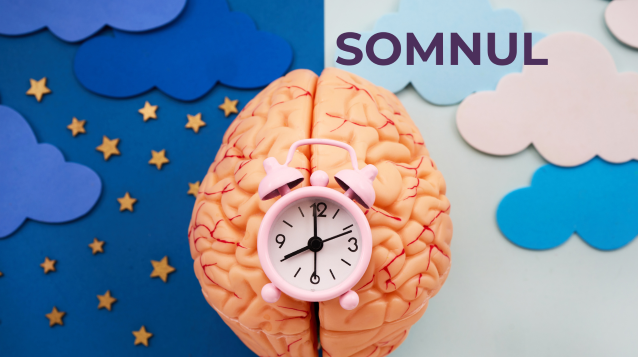 Somnul: fundamentul energiei, emoțiilor și sănătății creierului