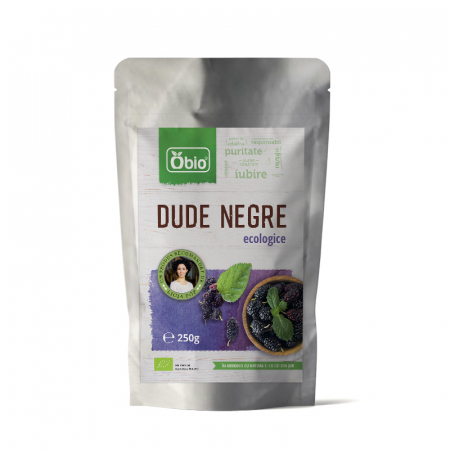 PULBERI SI SEMINTE - Dude negre deshidratate raw eco 250g OBIO