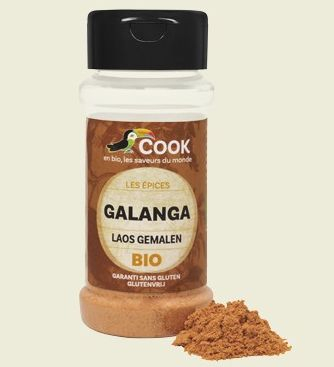 PRODUSE PENTRU GATIT - Galangal pudra bio 25g Cook