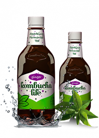 KOMBUCHA - Kombucha Life cu ghimbir 500ml