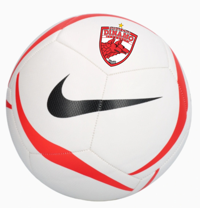 Minge Nike FC Dinamo mărimea 5 [3]