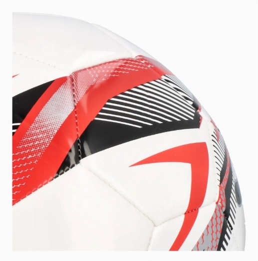 Minge Puma FC Dinamo [3]