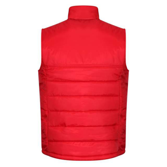 Vestă FC Dinamo #1 [2]