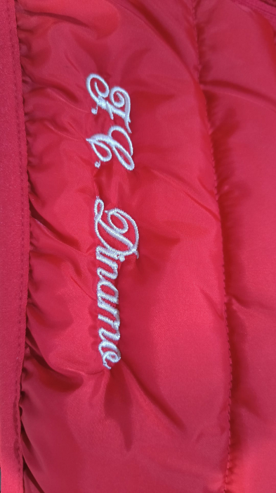 Vestă FC Dinamo [4]